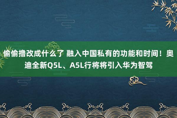 偷偷撸改成什么了 融入中国私有的功能和时间！奥迪全新Q5L、A5L行将将引入华为智驾