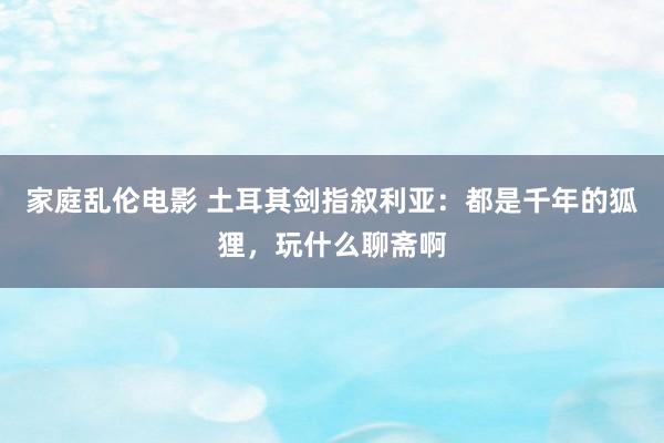 家庭乱伦电影 土耳其剑指叙利亚：都是千年的狐狸，玩什么聊斋啊