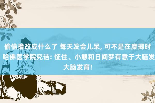 偷偷撸改成什么了 每天发会儿呆， 可不是在糜掷时候! 哈佛医学院究诘: 怔住、小憩和日间梦有意于大脑发育!