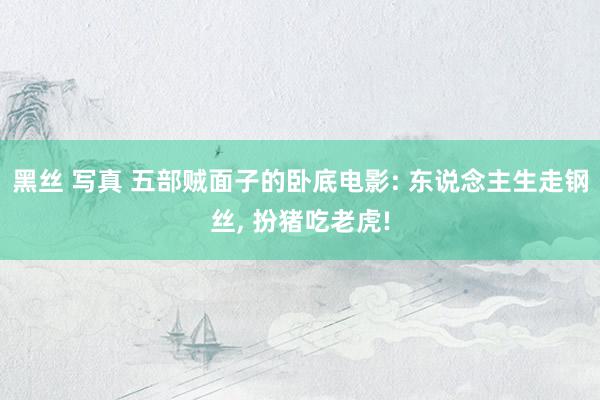 黑丝 写真 五部贼面子的卧底电影: 东说念主生走钢丝， 扮猪吃老虎!