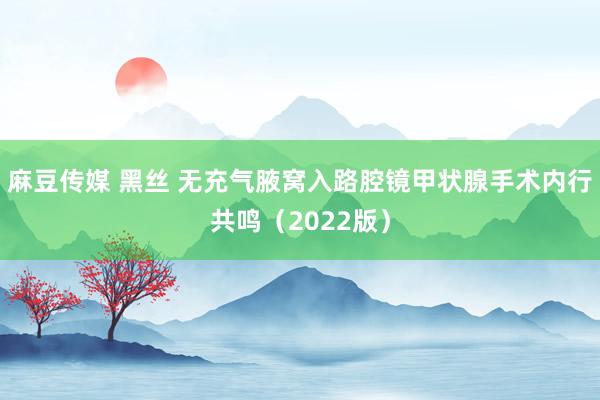 麻豆传媒 黑丝 无充气腋窝入路腔镜甲状腺手术内行共鸣（2022版）